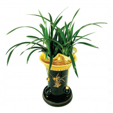 대국