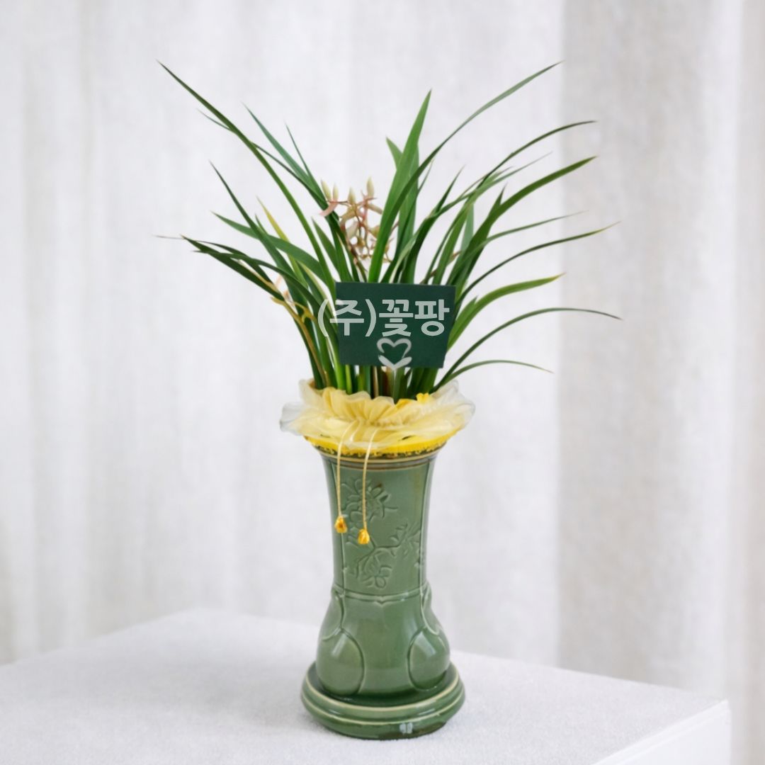 황룡금(청투각분)