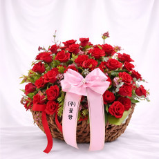 그레이스(회갑)